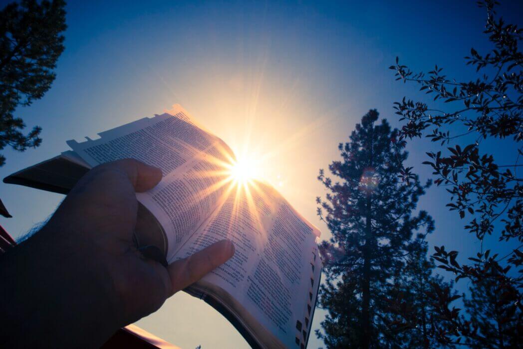 book on rays of light