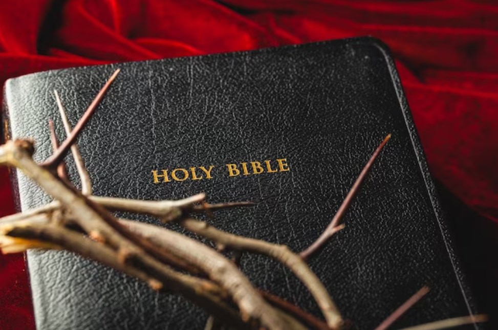 a holy bible book with thorns above it on a red-velvet background